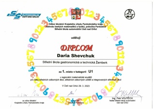 Diplom Daria.jpg